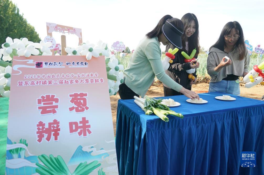 大菠萝手机棋牌